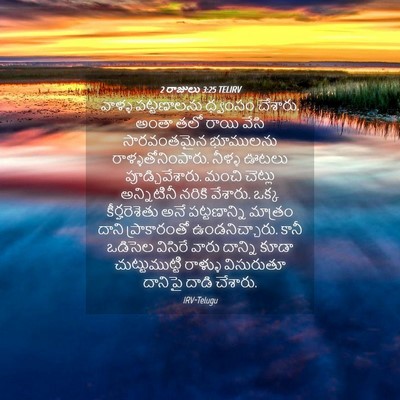 Picture 04 - 2 రాజులు 3:25 TELIRV - వాళ్ళ పట్టణాలను - Bible Verse Picture