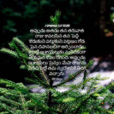 Picture 04 - 2 రాజులు 3:27 TELIRV - అప్పుడు అతడు తన - Bible Verse Picture