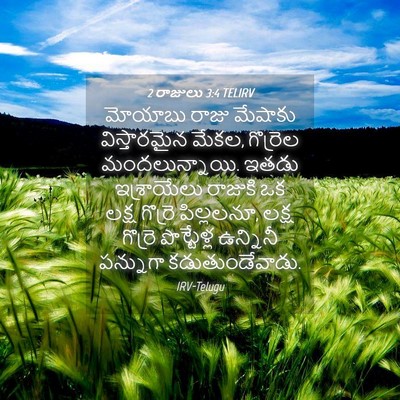 Picture 04 - 2 రాజులు 3:4 TELIRV - మోయాబు రాజు - Bible Verse Picture