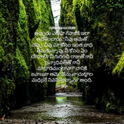 Picture 04 - 2 రాజులు 4:13 TELIRV - అప్పుడు ఎలీషా - Bible Verse Picture