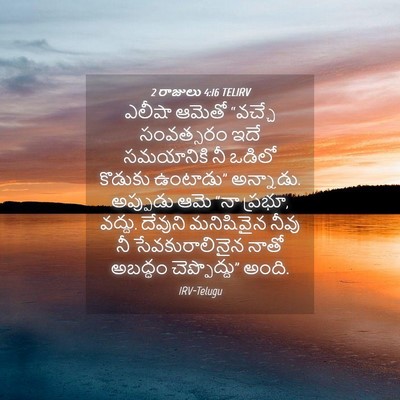 Picture 04 - 2 రాజులు 4:16 TELIRV - ఎలీషా ఆమెతో - Bible Verse Picture
