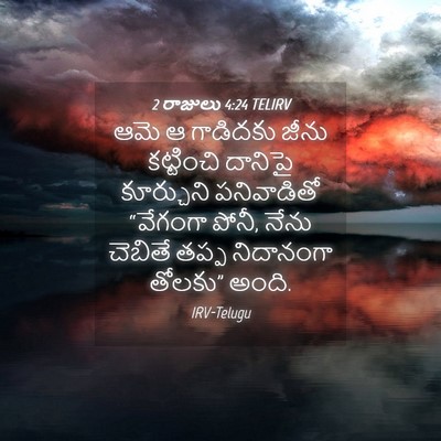 Picture 04 - 2 రాజులు 4:24 TELIRV - ఆమె ఆ గాడిదకు జీను - Bible Verse Picture