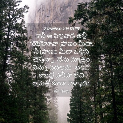 Picture 04 - 2 రాజులు 4:30 TELIRV - కానీ ఆ పిల్లవాడి - Bible Verse Picture