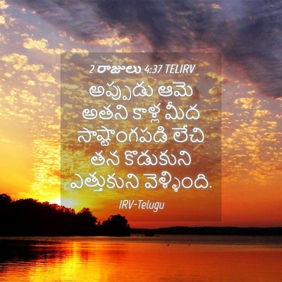 Picture 04 - 2 రాజులు 4:37 TELIRV - అప్పుడు ఆమె అతని - Bible Verse Picture
