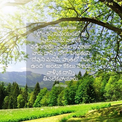 Picture 04 - 2 రాజులు 4:40 TELIRV - భోజనం సమయంలో ఆ - Bible Verse Picture