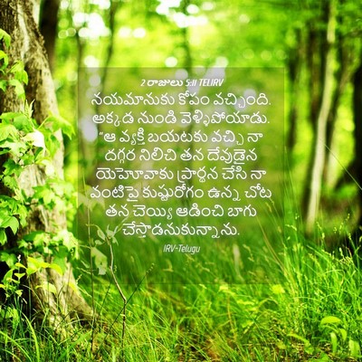 Picture 04 - 2 రాజులు 5:11 TELIRV - నయమానుకు కోపం - Bible Verse Picture