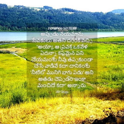 Picture 04 - 2 రాజులు 5:13 TELIRV - అప్పుడు నయమాను - Bible Verse Picture