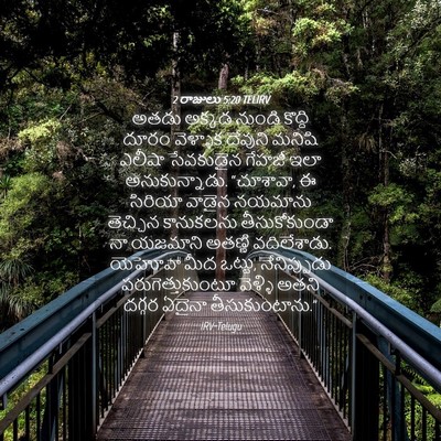 Picture 04 - 2 రాజులు 5:20 TELIRV - అతడు అక్కడ నుండి - Bible Verse Picture