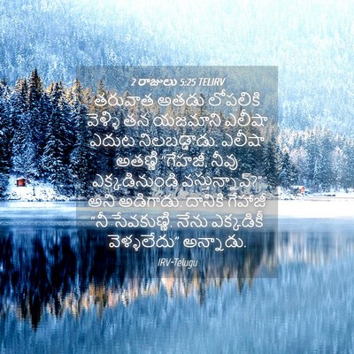 Picture 04 - 2 రాజులు 5:25 TELIRV - తరువాత అతడు - Bible Verse Picture