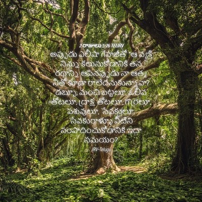Picture 04 - 2 రాజులు 5:26 TELIRV - అప్పుడు ఎలీషా - Bible Verse Picture