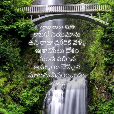 Picture 04 - 2 రాజులు 5:4 TELIRV - కాబట్టి నయమాను తన - Bible Verse Picture
