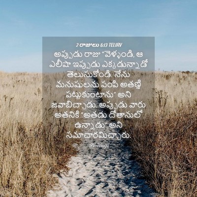Picture 04 - 2 రాజులు 6:13 TELIRV - అప్పుడు రాజు - Bible Verse Picture