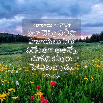 Picture 04 - 2 రాజులు 8:11 TELIRV - ఇలా చెప్పి ఎలీషా - Bible Verse Picture