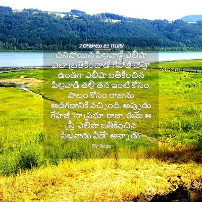 Picture 04 - 2 రాజులు 8:5 TELIRV - చనిపోయిన - Bible Verse Picture