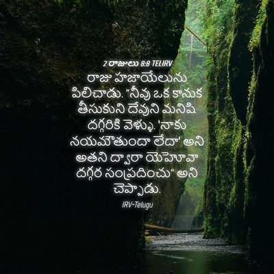 Picture 04 - 2 రాజులు 8:8 TELIRV - రాజు హజాయేలును - Bible Verse Picture