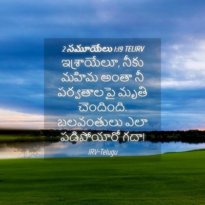 Picture 04 - 2 సమూయేలు 1:19 TELIRV - ఇశ్రాయేలూ, నీకు - Bible Verse Picture