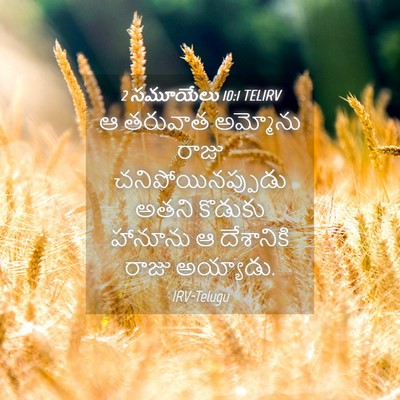 Picture 04 - 2 సమూయేలు 10:1 TELIRV - ఆ తరువాత అమ్మోను - Bible Verse Picture