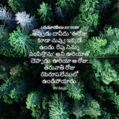 Picture 04 - 2 సమూయేలు 11:12 TELIRV - అప్పుడు దావీదు - Bible Verse Picture