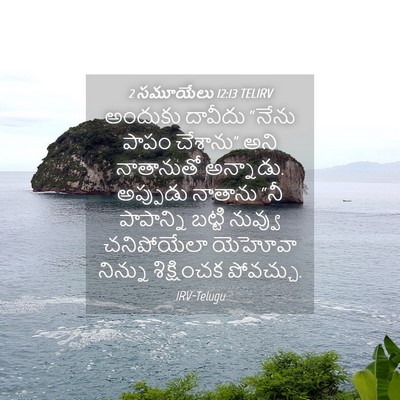 Picture 04 - 2 సమూయేలు 12:13 TELIRV - అందుకు దావీదు - Bible Verse Picture