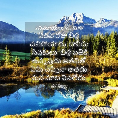 Picture 04 - 2 సమూయేలు 12:18 TELIRV - ఏడవ రోజు బిడ్డ - Bible Verse Picture