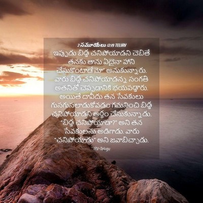 Picture 04 - 2 సమూయేలు 12:19 TELIRV - ఇప్పుడు బిడ్డ - Bible Verse Picture