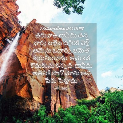 Picture 04 - 2 సమూయేలు 12:24 TELIRV - తరువాత దావీదు తన - Bible Verse Picture