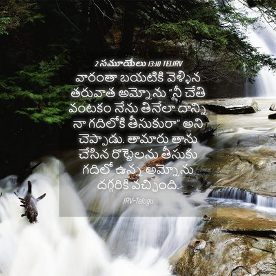 Picture 04 - 2 సమూయేలు 13:10 TELIRV - వారంతా బయటికి - Bible Verse Picture