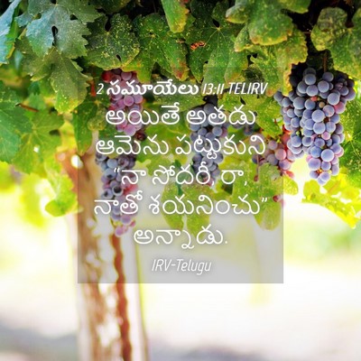 Picture 04 - 2 సమూయేలు 13:11 TELIRV - అయితే అతడు ఆమెను - Bible Verse Picture