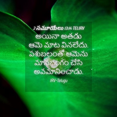 Picture 04 - 2 సమూయేలు 13:14 TELIRV - అయినా అతడు ఆమె మాట - Bible Verse Picture