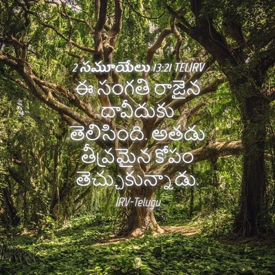 Picture 04 - 2 సమూయేలు 13:21 TELIRV - ఈ సంగతి రాజైన - Bible Verse Picture