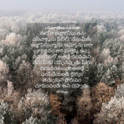 Picture 04 - 2 సమూయేలు 13:28 TELIRV - ఈలోగా అబ్షాలోము - Bible Verse Picture