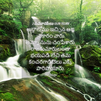 Picture 04 - 2 సమూయేలు 13:29 TELIRV - అబ్షాలోము ఇచ్చిన - Bible Verse Picture