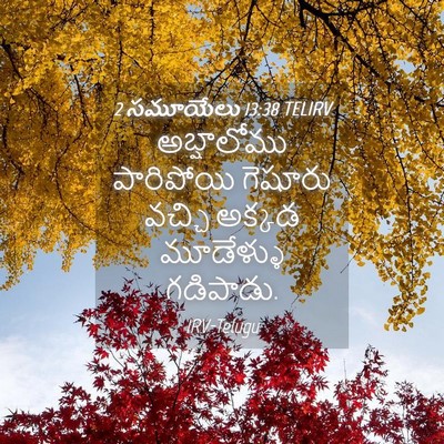 Picture 04 - 2 సమూయేలు 13:38 TELIRV - అబ్షాలోము - Bible Verse Picture