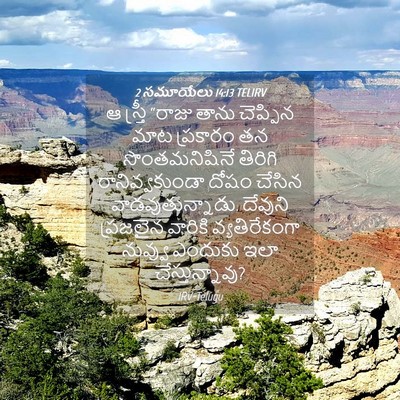 Picture 04 - 2 సమూయేలు 14:13 TELIRV - ఆ స్త్రీ “రాజు - Bible Verse Picture