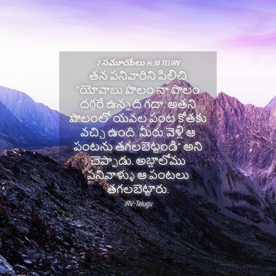 Picture 04 - 2 సమూయేలు 14:30 TELIRV - తన పనివారిని - Bible Verse Picture