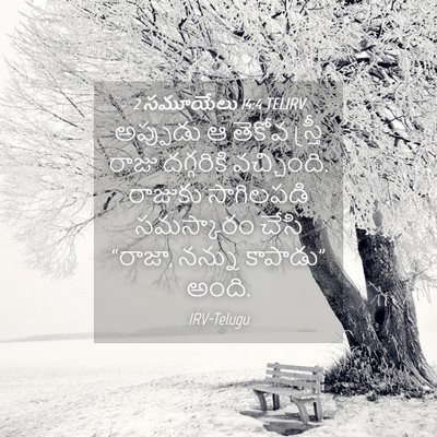 Picture 04 - 2 సమూయేలు 14:4 TELIRV - అప్పుడు ఆ తెకోవ - Bible Verse Picture