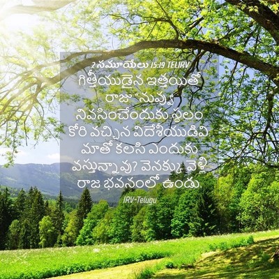 Picture 04 - 2 సమూయేలు 15:19 TELIRV - గిత్తీయుడైన - Bible Verse Picture