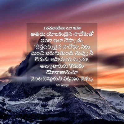 Picture 04 - 2 సమూయేలు 15:27 TELIRV - అతడు యాజకుడైన - Bible Verse Picture