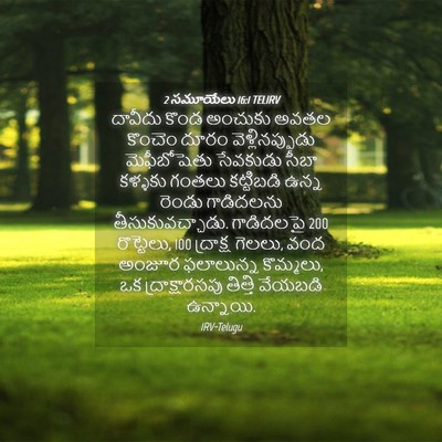 Picture 04 - 2 సమూయేలు 16:1 TELIRV - దావీదు కొండ - Bible Verse Picture