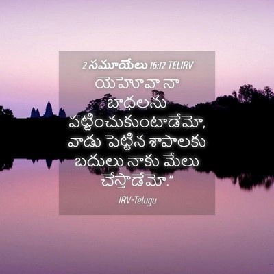 Picture 04 - 2 సమూయేలు 16:12 TELIRV - యెహోవా నా బాధలను - Bible Verse Picture