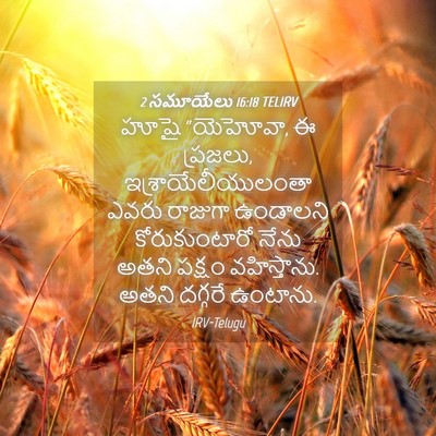 Picture 04 - 2 సమూయేలు 16:18 TELIRV - హూషై “యెహోవా, ఈ - Bible Verse Picture