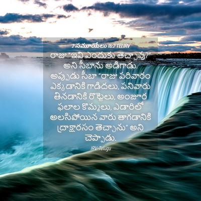 Picture 04 - 2 సమూయేలు 16:2 TELIRV - రాజు “ఇవి ఎందుకు - Bible Verse Picture