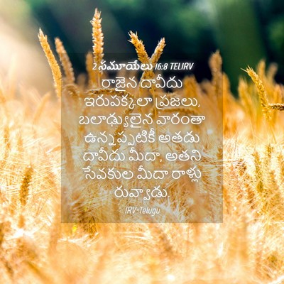 Picture 04 - 2 సమూయేలు 16:8 TELIRV - రాజైన దావీదు - Bible Verse Picture