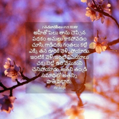 Picture 04 - 2 సమూయేలు 17:23 TELIRV - అహీతోపెలు తాను - Bible Verse Picture