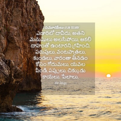 Picture 04 - 2 సమూయేలు 17:28 TELIRV - ఎడారిలో దావీదు, - Bible Verse Picture