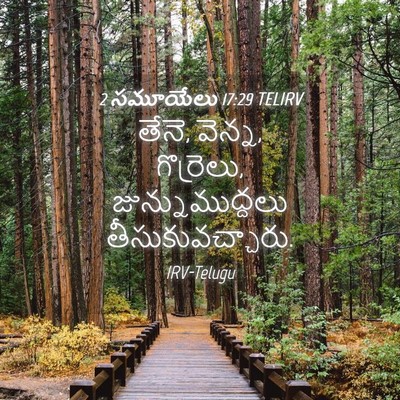 Picture 04 - 2 సమూయేలు 17:29 TELIRV - తేనె, వెన్న, - Bible Verse Picture