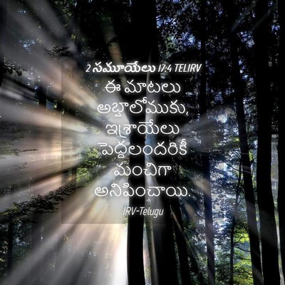 Picture 04 - 2 సమూయేలు 17:4 TELIRV - ఈ మాటలు - Bible Verse Picture