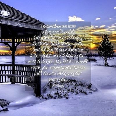 Picture 04 - 2 సమూయేలు 18:26 TELIRV - కాపలా కాసేవాడికి - Bible Verse Picture