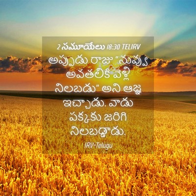 Picture 04 - 2 సమూయేలు 18:30 TELIRV - అప్పుడు రాజు - Bible Verse Picture
