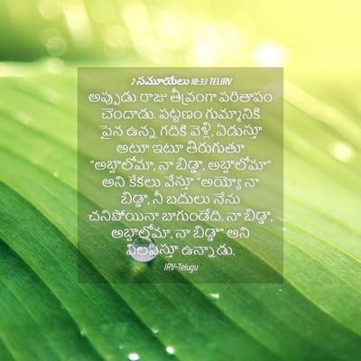 Picture 04 - 2 సమూయేలు 18:33 TELIRV - అప్పుడు రాజు - Bible Verse Picture
